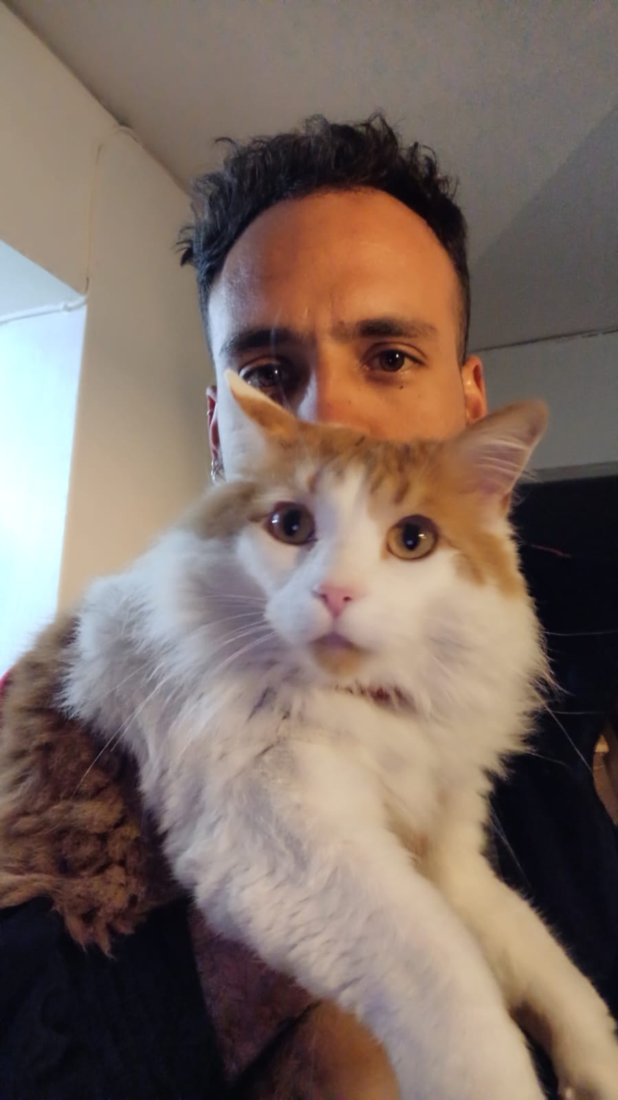 Imagen 1 del anuncio de @jefferson30764 en duduo.